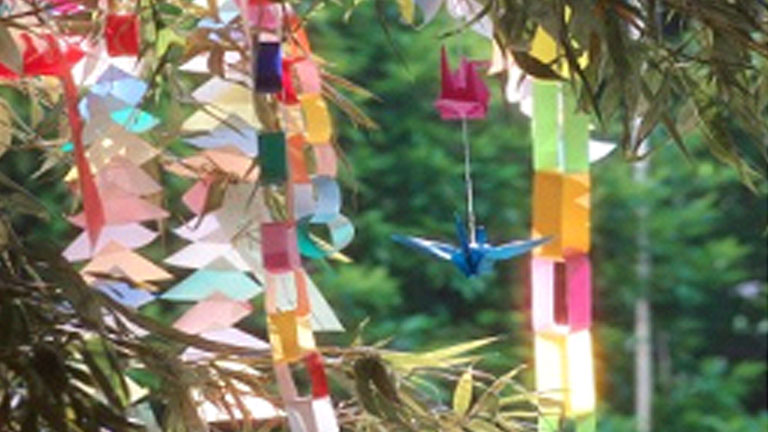 Japanese Garden Tanabata, July 2014